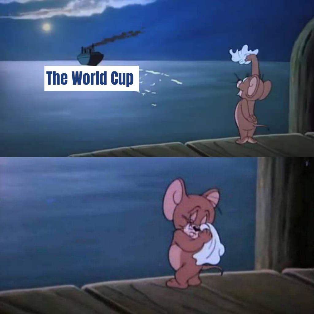 umzM7N3.jpeg