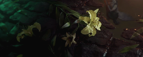1IPj.gif