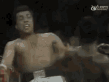 muhammad-ali-ali.gif