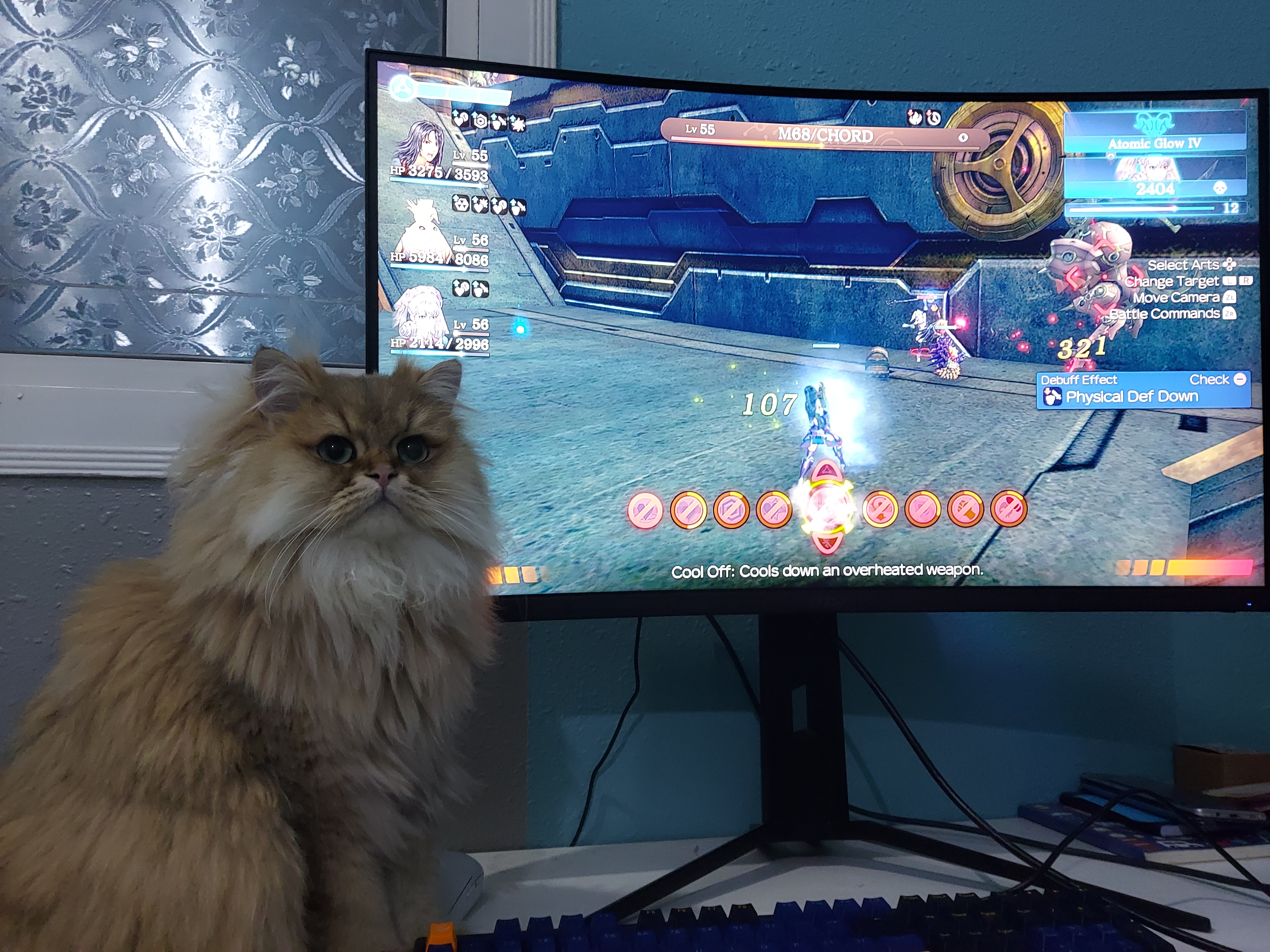 azIzWmp.jpg
