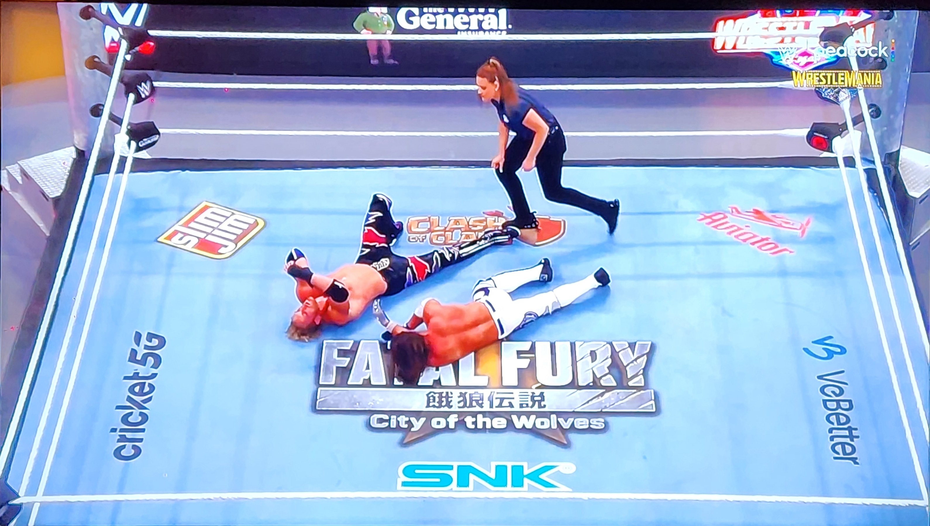 wrestlemania41-snk-fatalfury.jpg