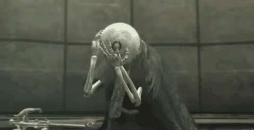 p_23809b5d60.gif