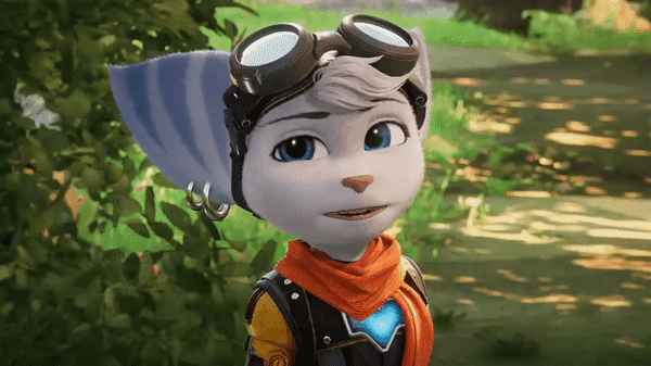 fdf.gif