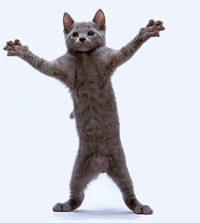 JHX4t.gif