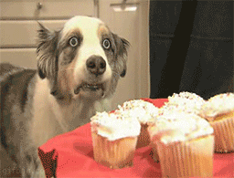 06ef79b3ee0be9f0e243c462356bdd53.gif