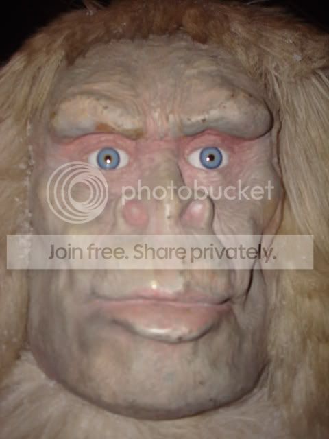 YETI3.jpg