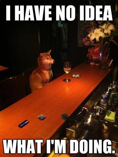 tumblr_mh3m5e93kI1r1vzzeo1_500.jpg