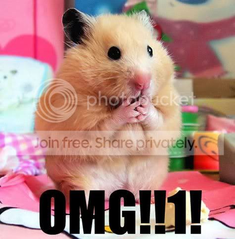 OMG.jpg