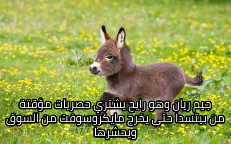 3908033.png