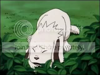 Akamaru.jpg