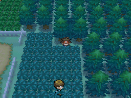 hiddenhollow.png