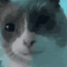 XCMCVd3.gif