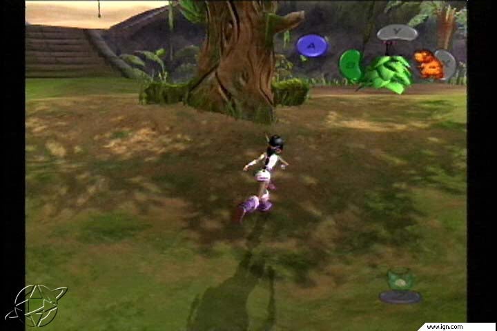 kameo2.jpg