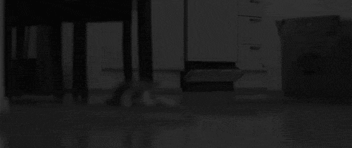 tumblr_n06p1zputx1t4o62mo1_500.gif