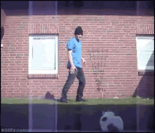 breakdancingcat.gif