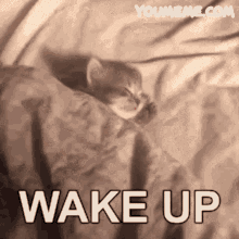 176047187833332.gif