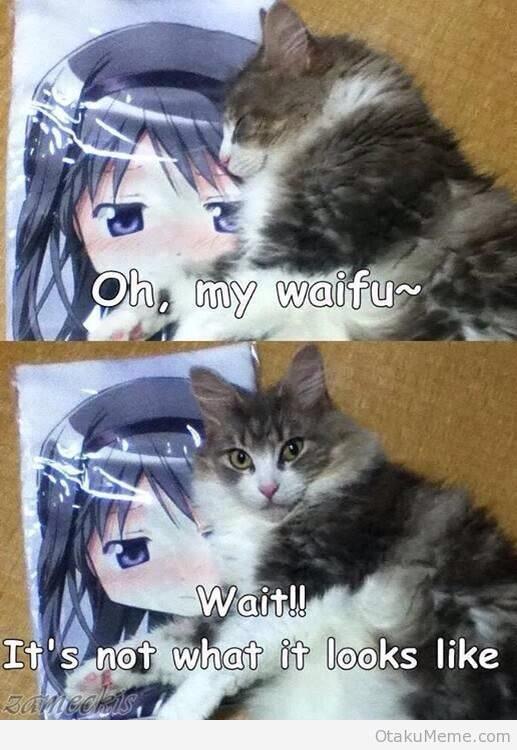 ftrDAlL.jpg
