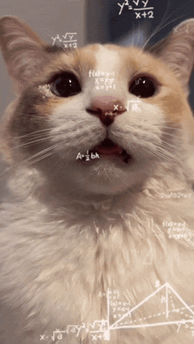 tenor.gif
