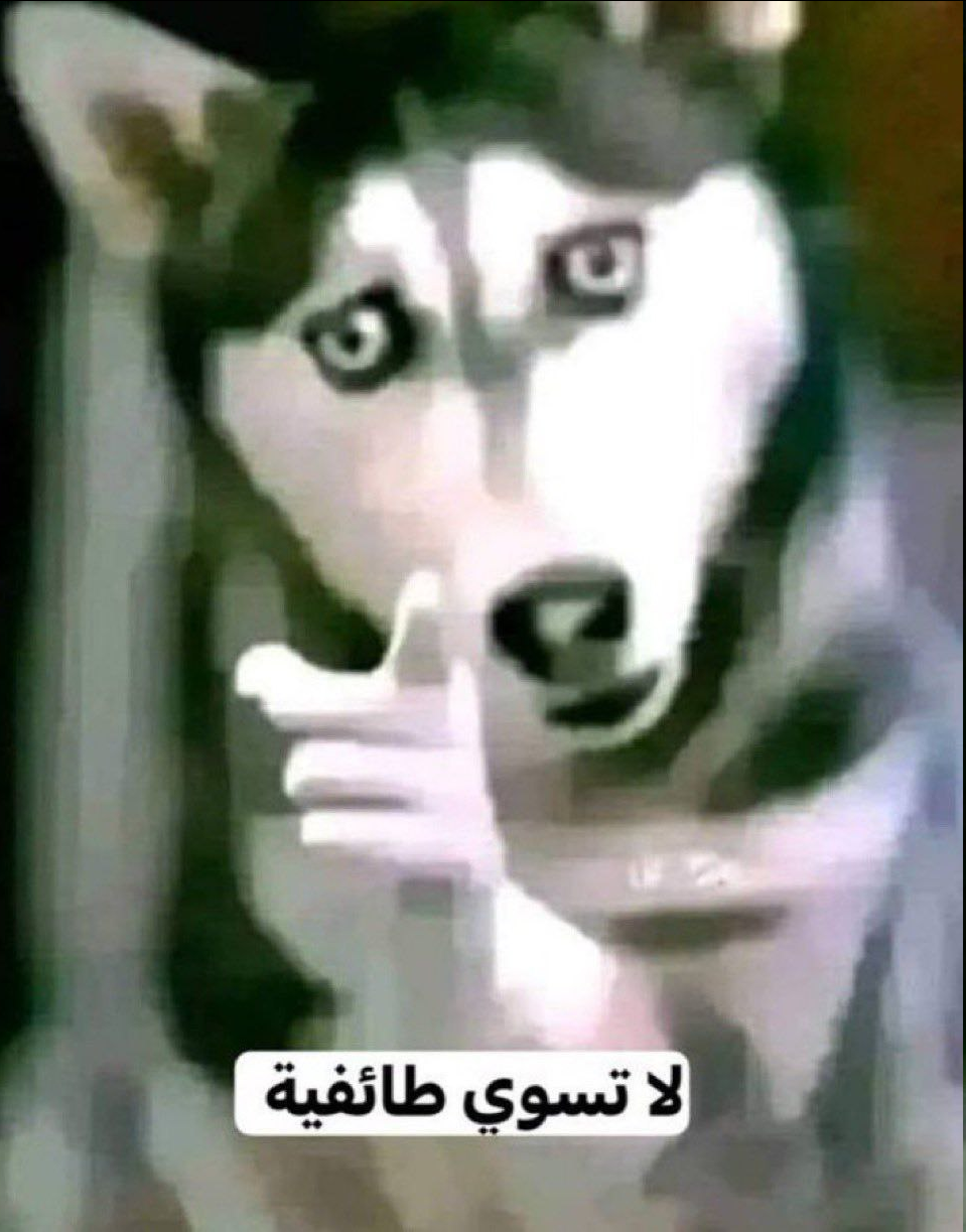 XM4D9z9.png