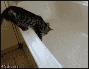 tumblr_lyjeob4eBQ1qdlh1io1_400.gif