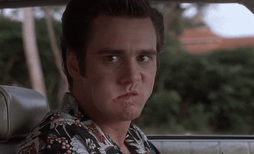042c3e1f6b0370be4084bea16fa52f77.gif