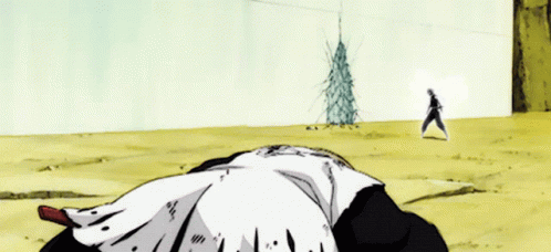 komamura-vs-soi-fon-fight.gif