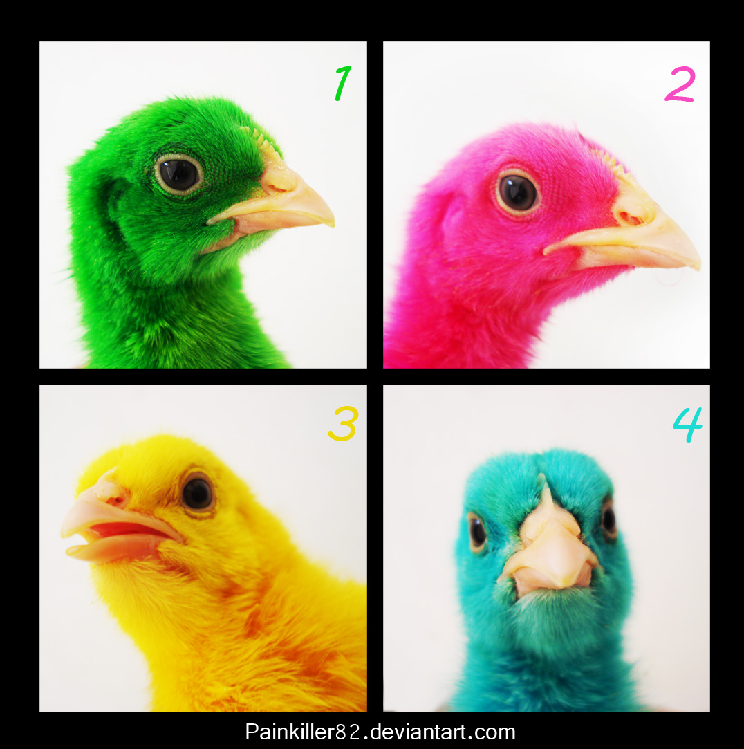 Multi_chicks_by_Painkiller82.jpg