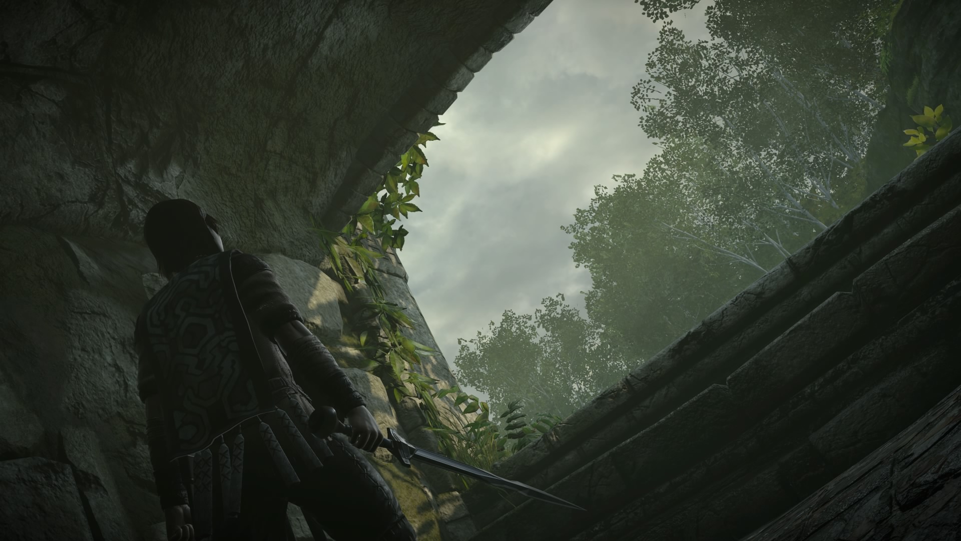 SHADOW_OF_THE_COLOSSUS_20180216024917.jpg