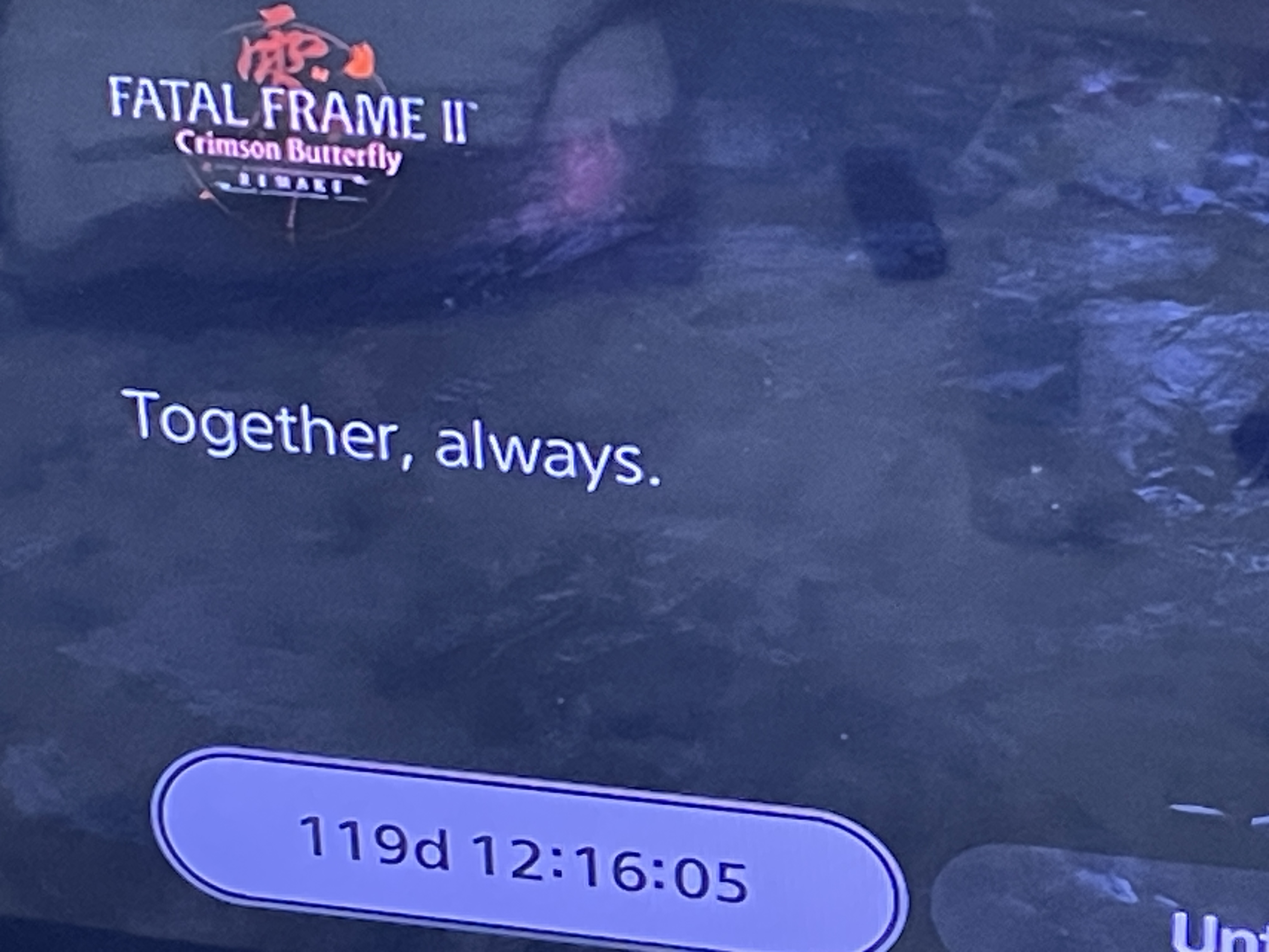 176293708200051.jpeg