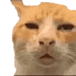 3x.webp