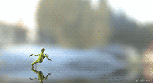 tumblr_np5vfcZznR1s2yegdo2_500.gif