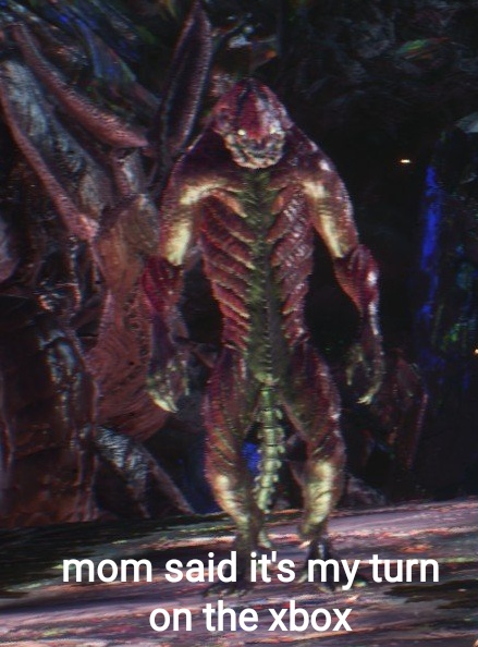 iapvv7od6yp21.jpg