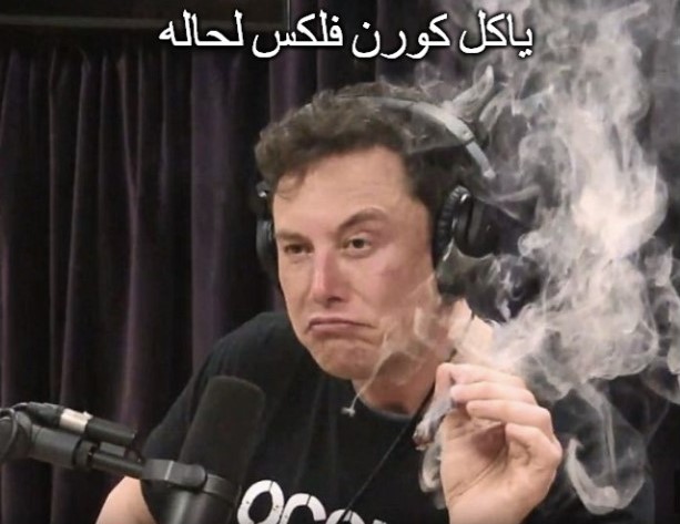 9dn4DBp.jpg