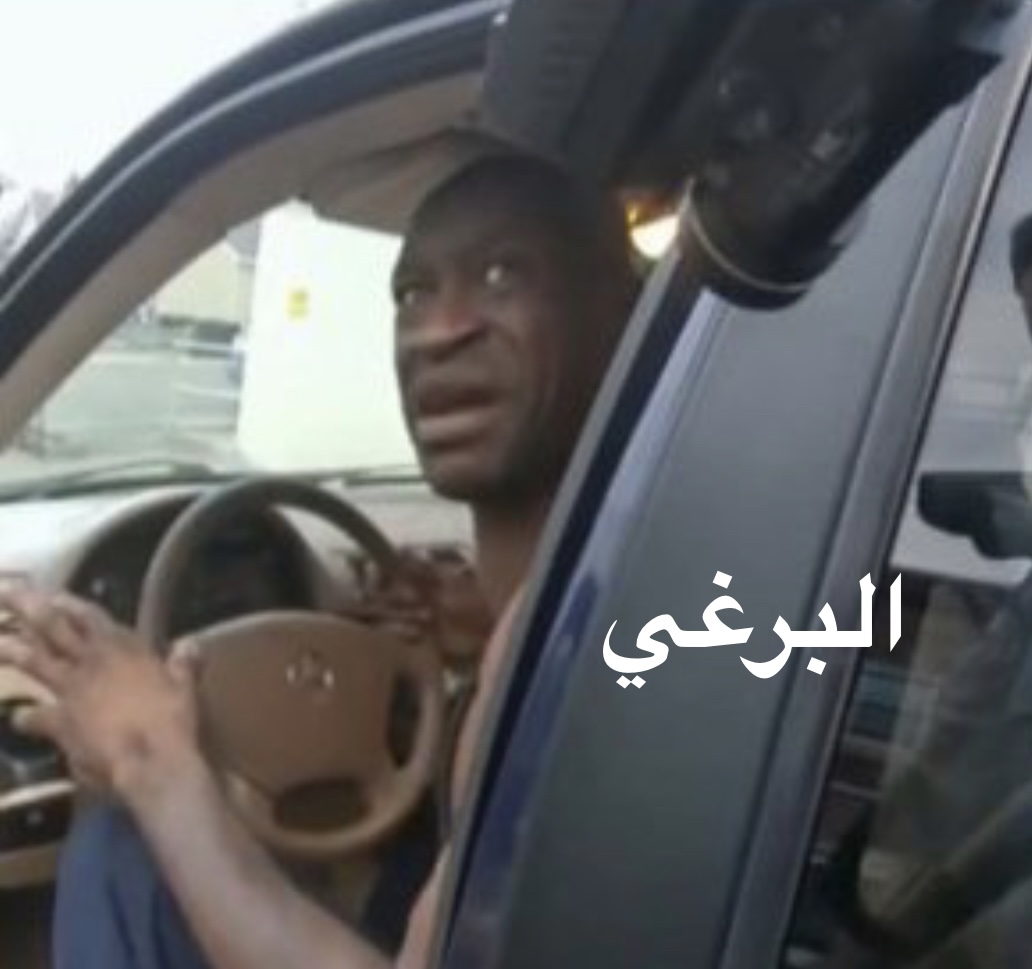 p_2659i0dp20.jpeg