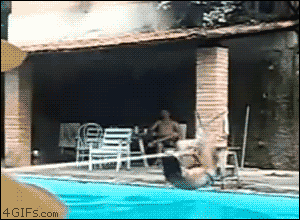 tumblr_m47msqFL6L1qdlh1io1_4001.gif