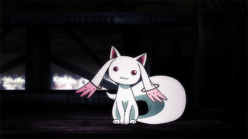 3CwKU3e.gif