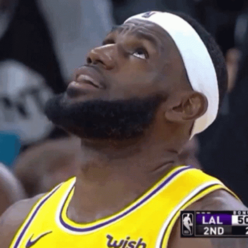 looking-up-lebron-james.gif