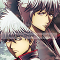 Gin-Split-1.png