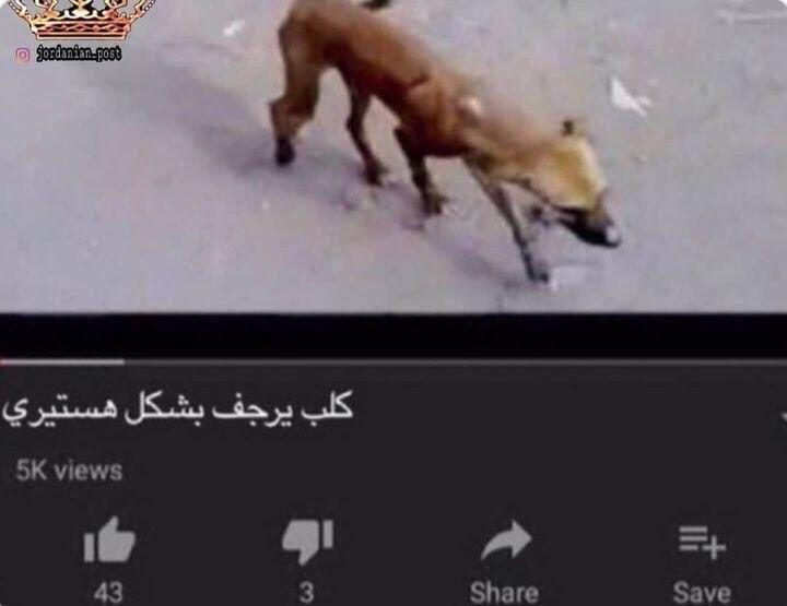 VKvhwsb.jpeg