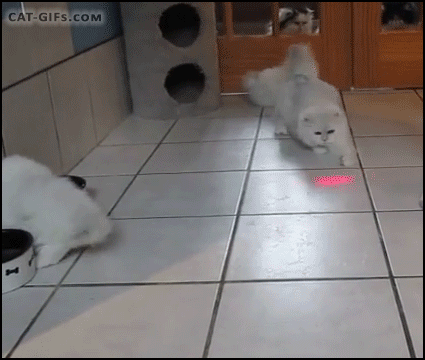 54716a4c6c380189e6b74608ec1f0570.gif