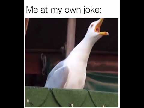 me-laughing-at-my-own-joke-1.jpg