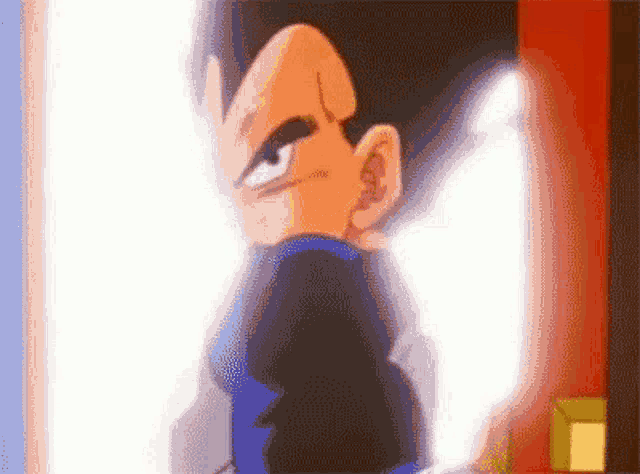 vegeta-time-chamber.gif
