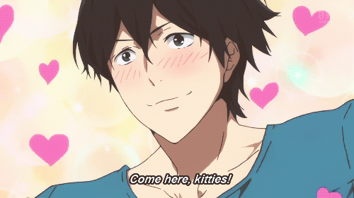 tumblr_n9c9p44dH81rdsxs3o2_500.gif
