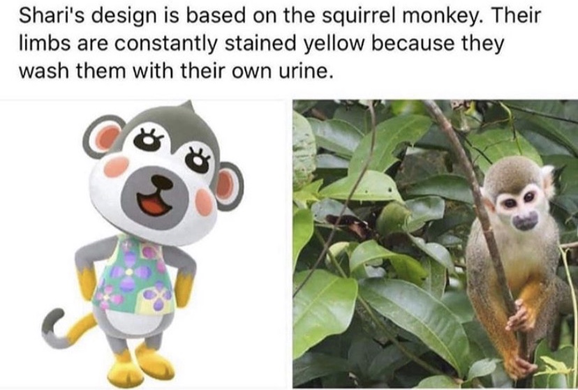5iiIGqM.jpg