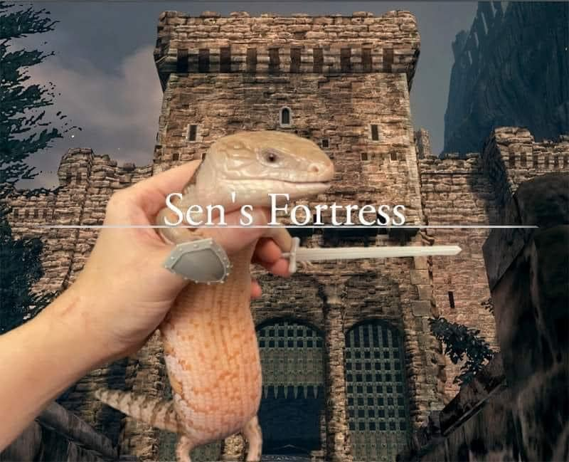 DZL9b2z.png