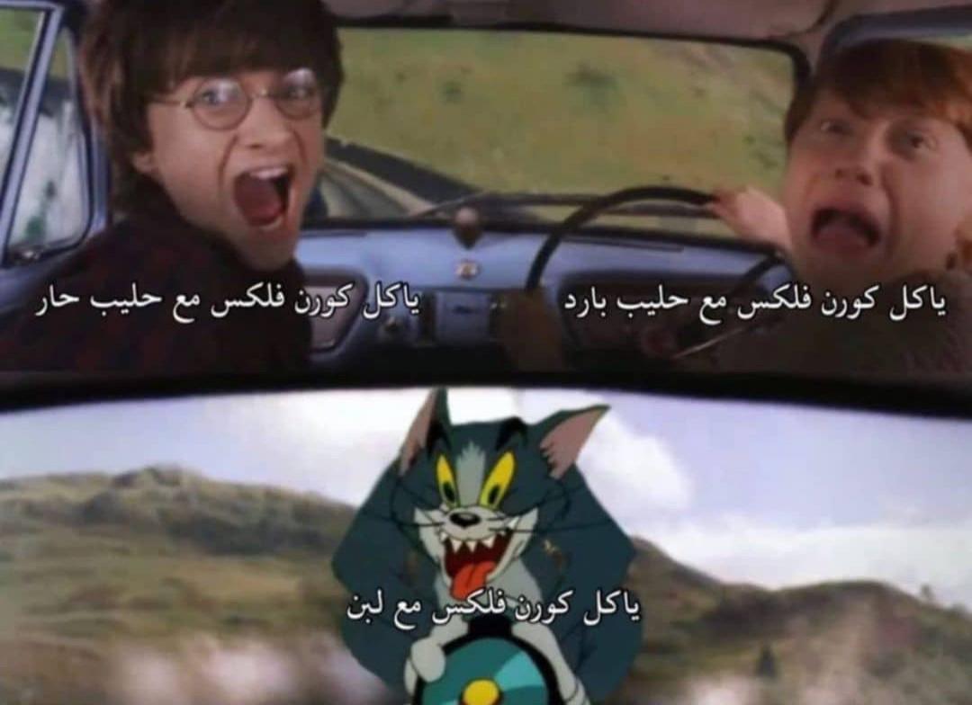 Q3dBHGY.jpeg