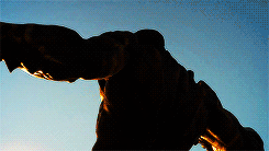 tumblr_o4x97pNEGh1u2d2qeo9_250.gif
