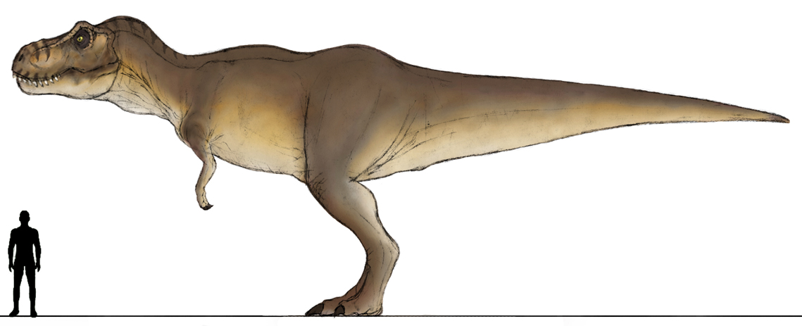 jpdinos__female_t_rex_v2_beta_by_t_joe.jpg