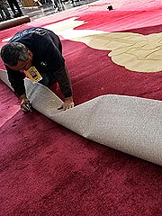 oscar_redcarpet180.jpg