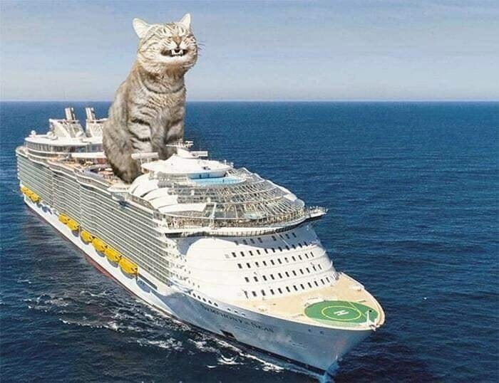 FtXjcwD.jpg